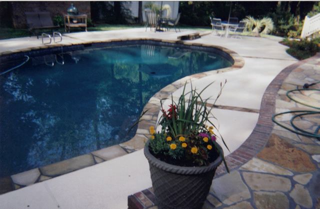 A pot of flowers sits in front of a swimming pool
