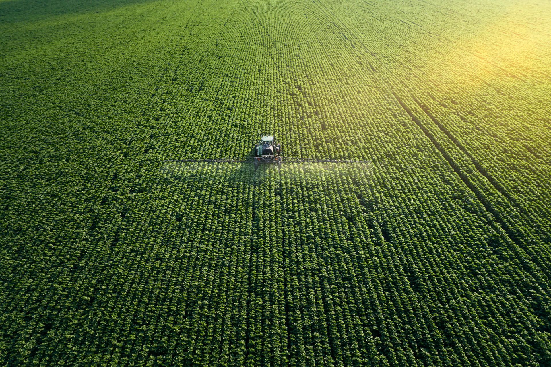 Een tractor besproeit een groot groen veld met rijen gewassen. Zonlicht verlicht het tafereel.