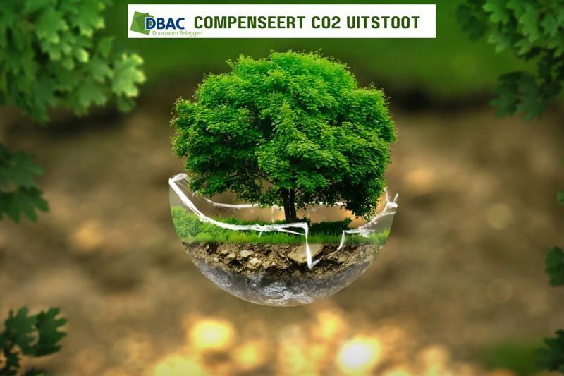 Hoe minimaliseert DBAC de CO2 uitstoot? | DB Flagship Fund