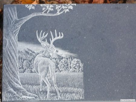 a drawing of a deer standing under a tree