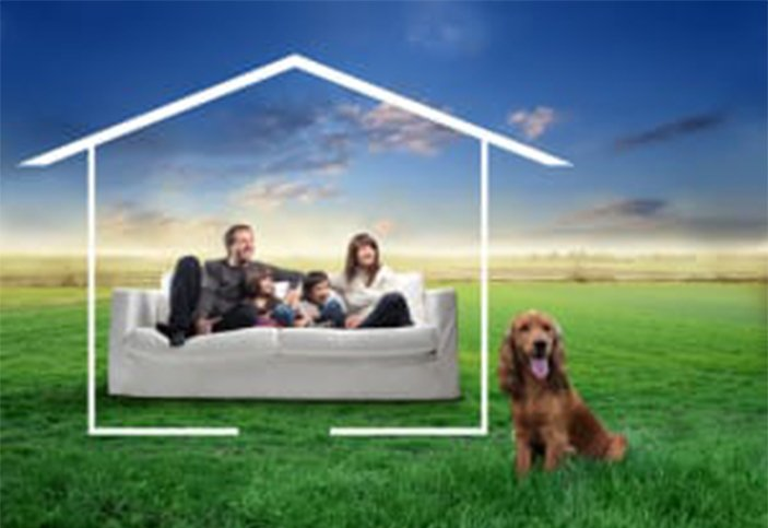 family and dog in home in field with clean air
