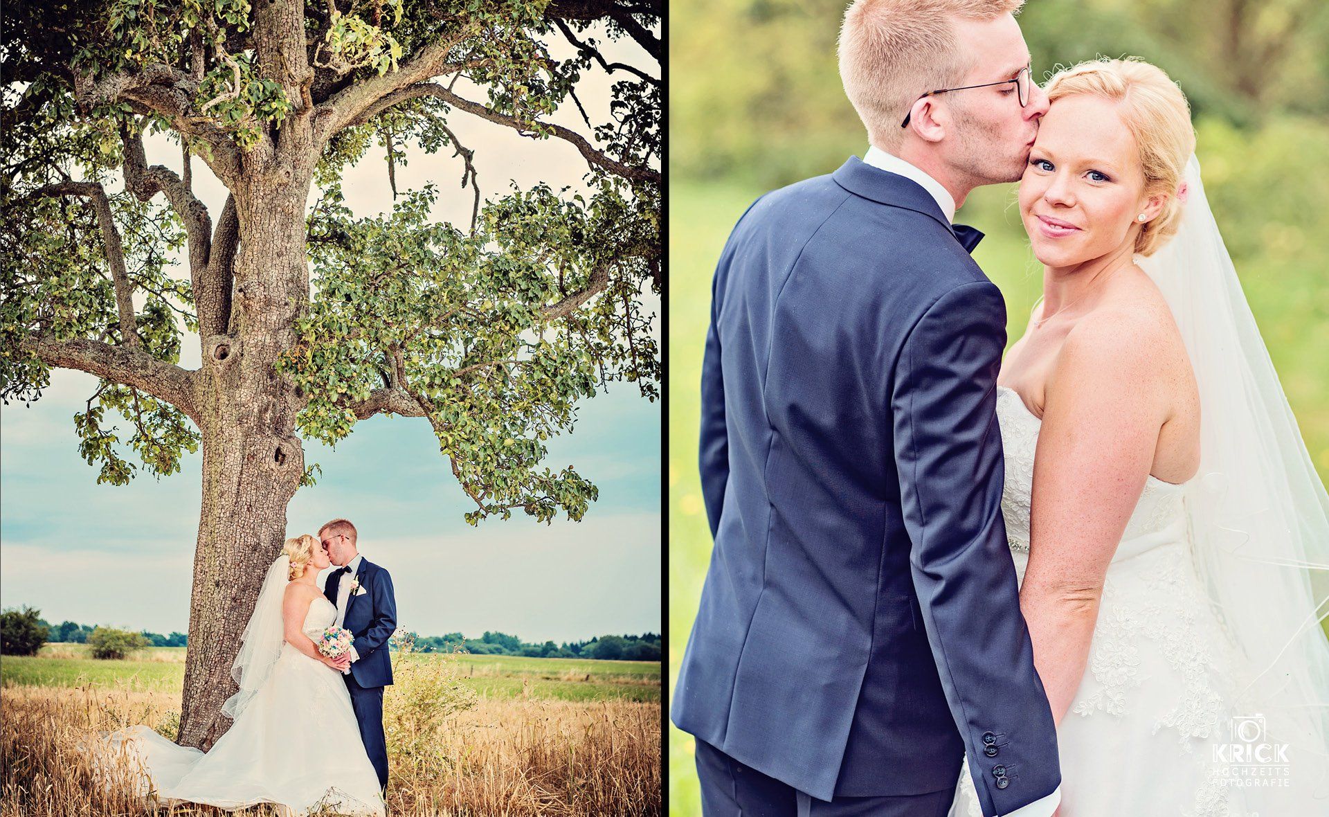 Eine Braut und ein Bräutigam küssen sich unter einem Baum auf einem Feld.