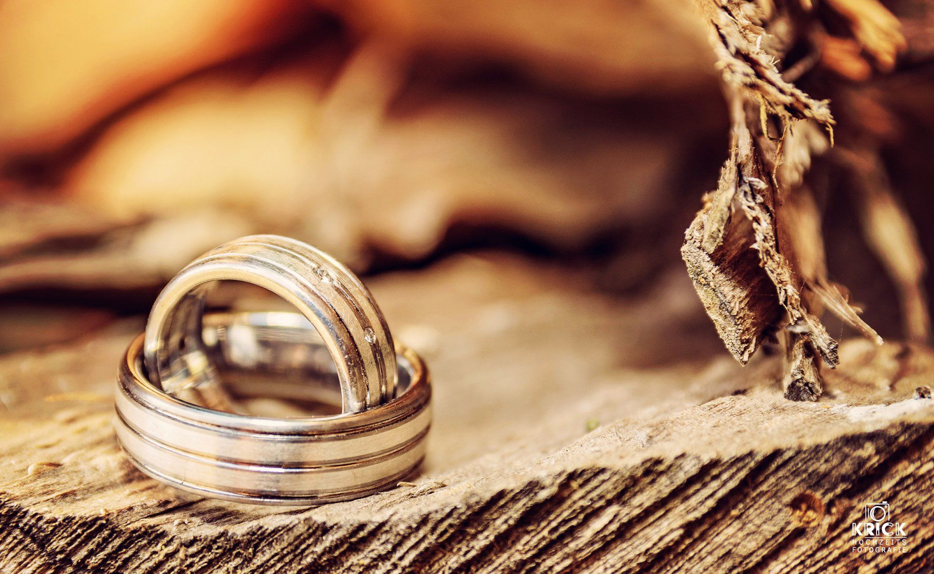Ein paar Eheringe liegen auf einem Stück Holz.