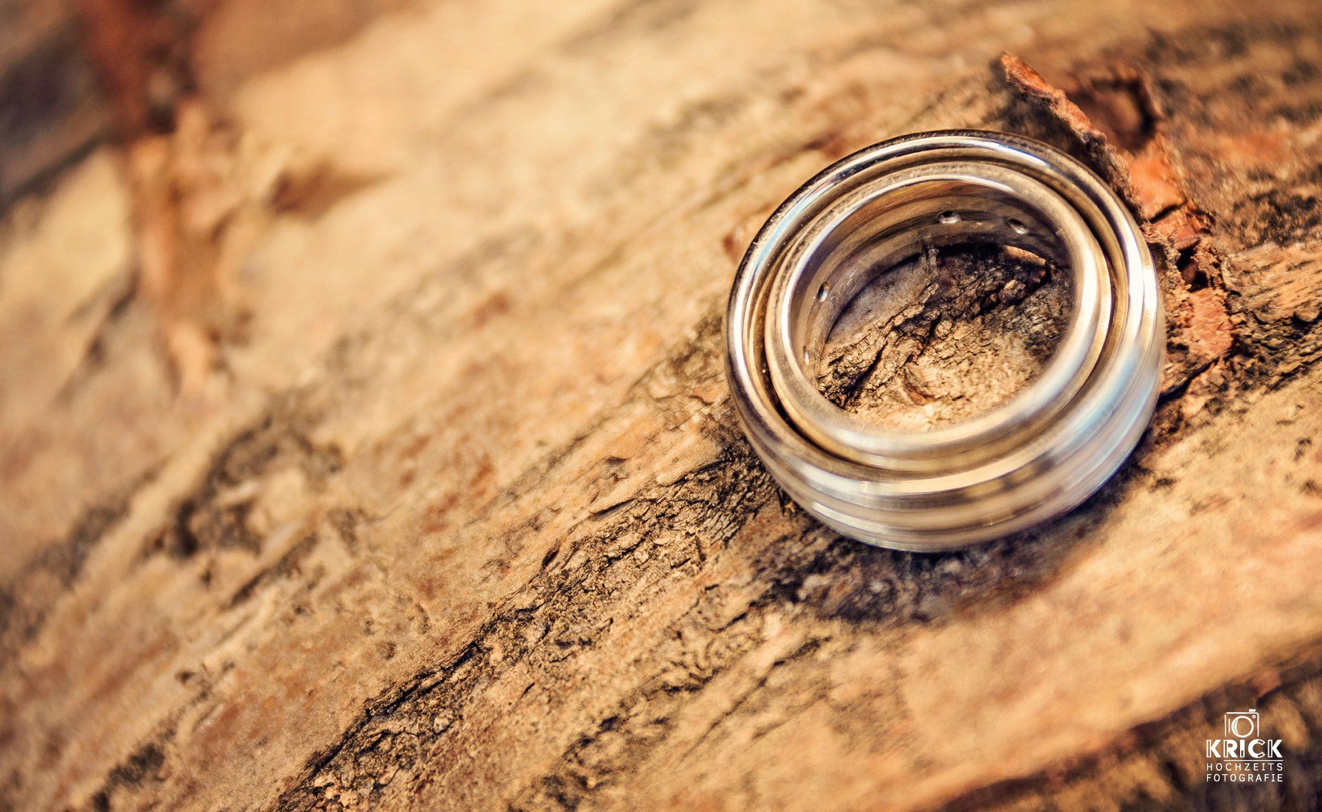 Zwei Eheringe liegen auf einem Stück Holz.