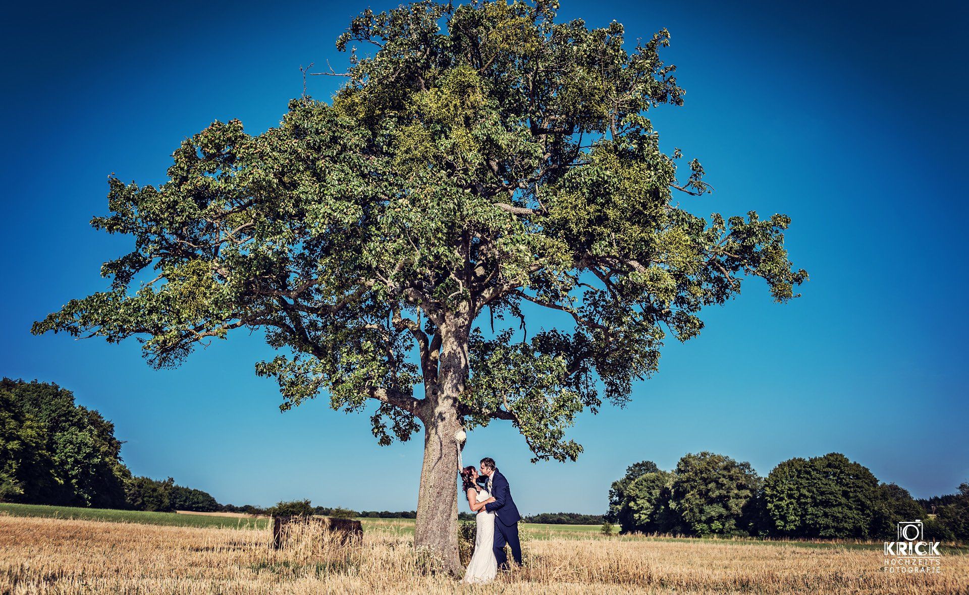 Eine Braut und ein Bräutigam küssen sich unter einem Baum auf einem Feld.