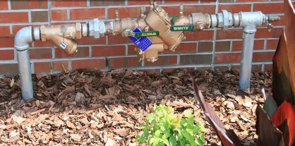 Backflow preventer system, bronze and silver pipes against a brick wall, surrounded by wood chips.