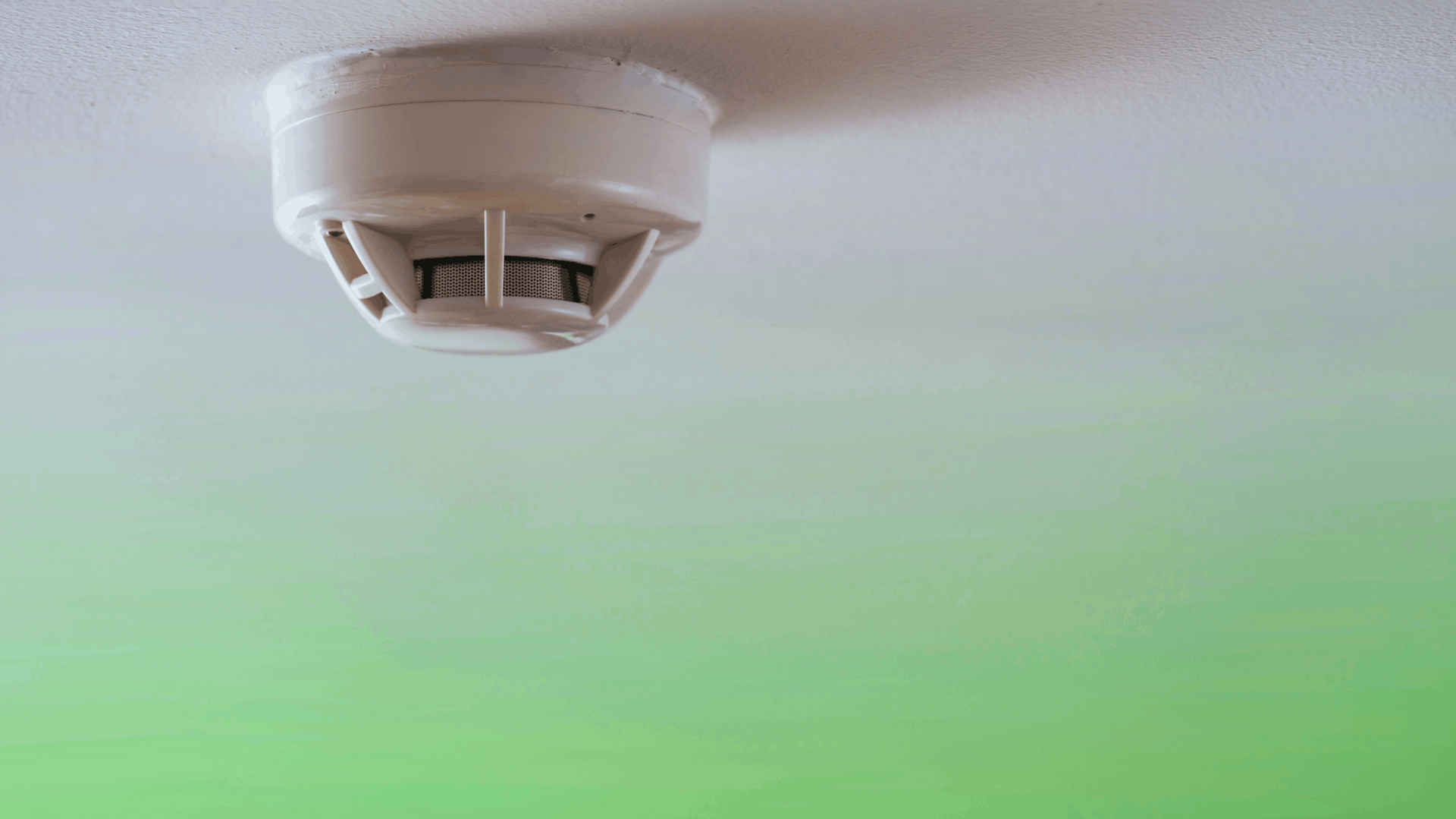White smoke detector mounted on a white ceiling with a green gradient background — Chayser Electrical in Currimundi, QLD