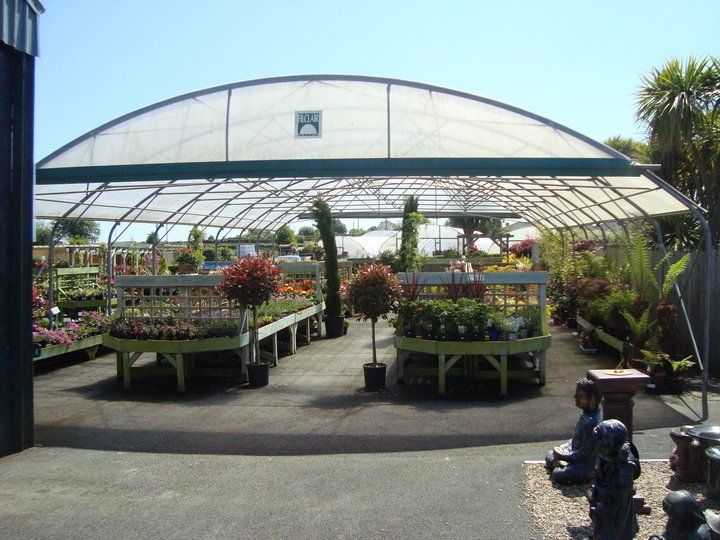 Easter Island Garden Centre - outdoor area