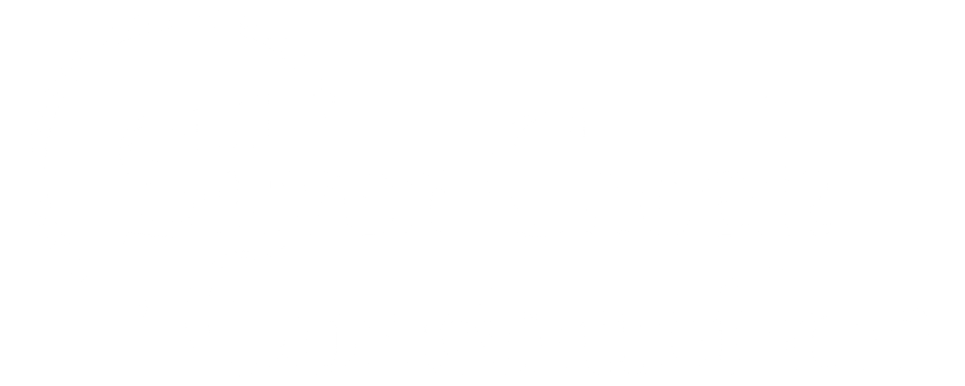 A white background with a few lines on it