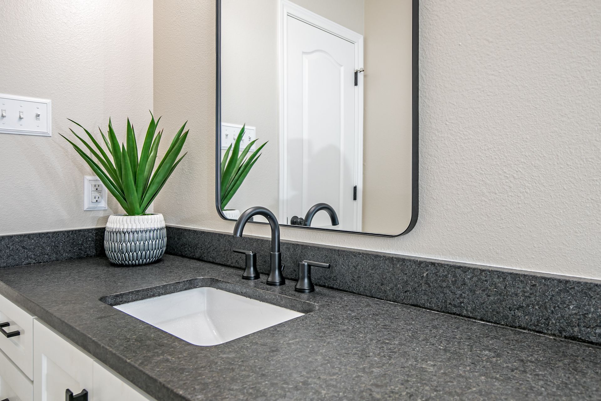 A bathroom with a sink , mirror and a potted plant.