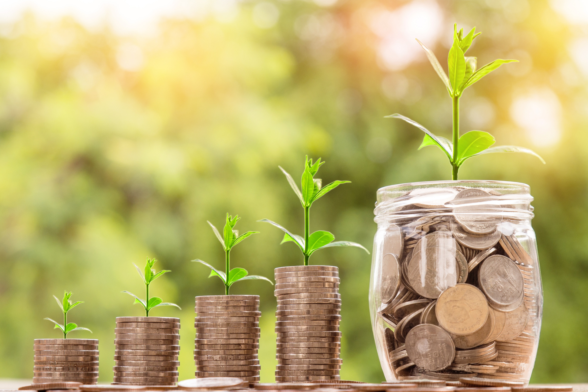 A jar filled with stacks of coins with plants growing out of them.