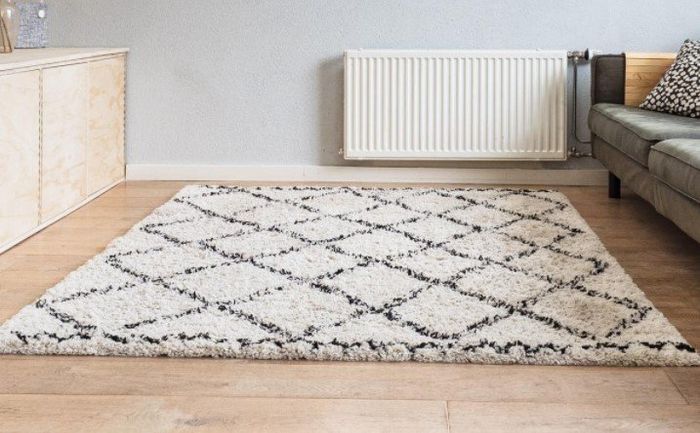 Austin rug cleaning service cleans area rugs and carpets