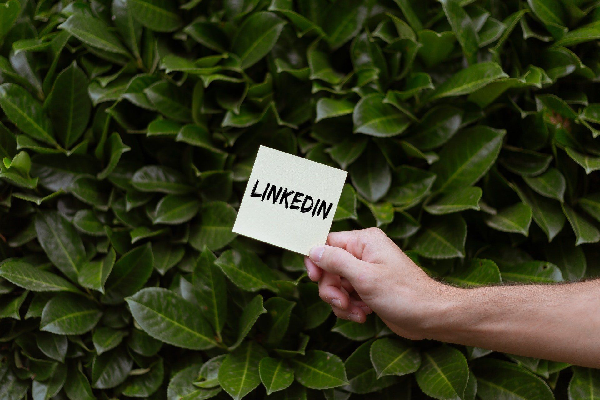 How to write a great personal profile summary for LinkedIn