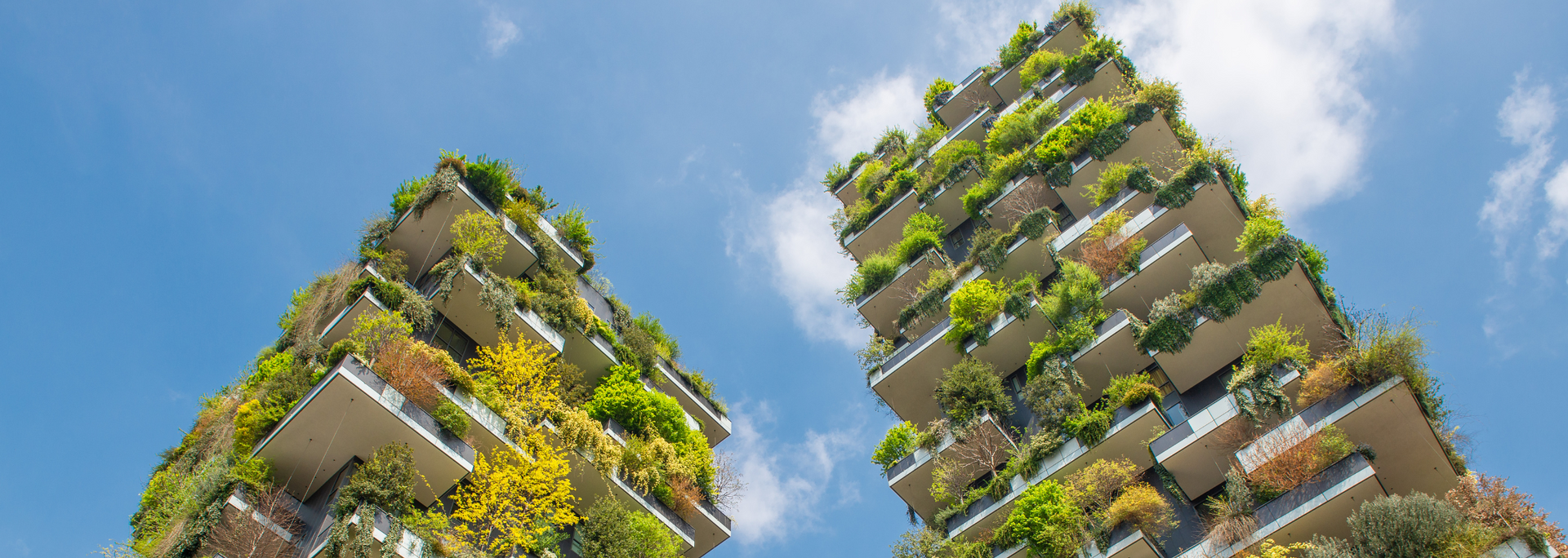 Picture of Bosco Verticale in Milan.