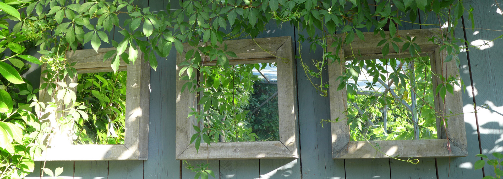 Picture of a mirror in a garden.
