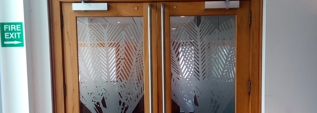 Picture of glass in a fire door. Picture of glass in a fire door.