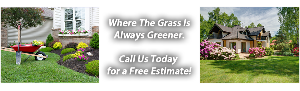 Lawn Care Service Syracuse Ny, Other Side Landscaping