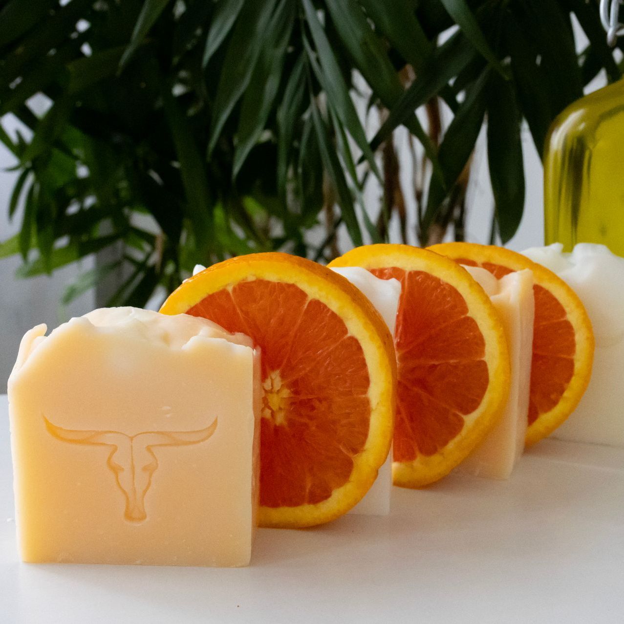 A row of orange slices next to Allow Nourishment Tallow Soaps.