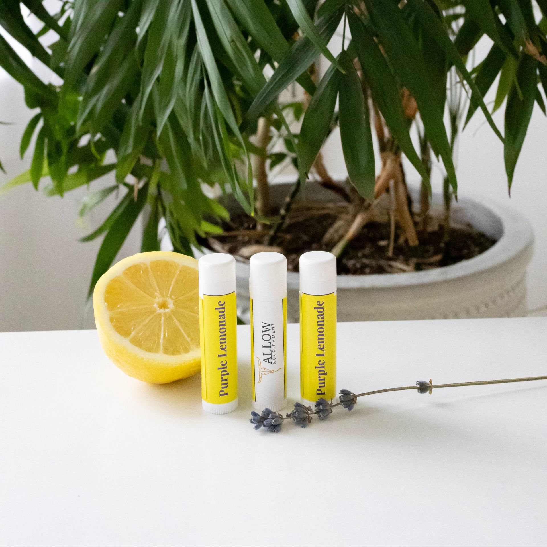 Allow Nourishment - 3 tubes of Purple Lemonade tallow lip balm. 