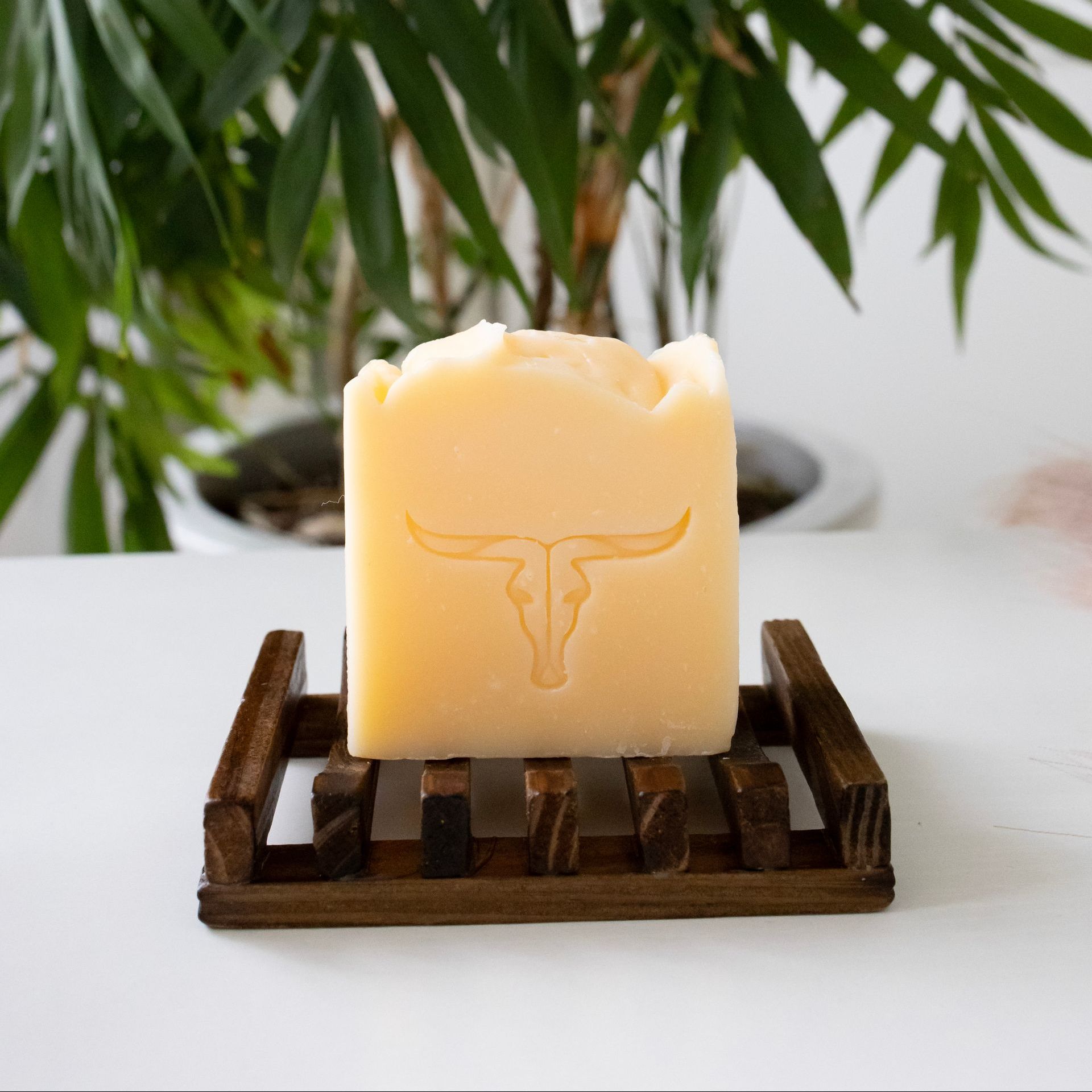 Allow Nourishments Tallow soap bar with their logo on it is sitting on a wooden soap dish.