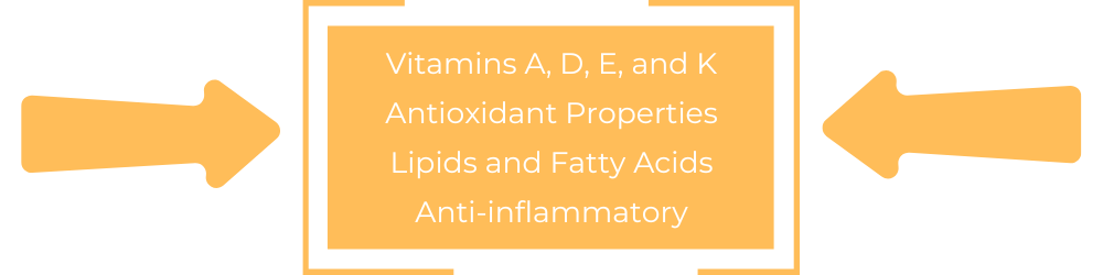 A diagram showing the benefits of vitamins a , d , e and k.