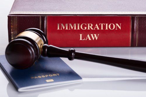 Immigration Law Concept