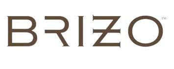 Brizo logo in brown sans-serif font, with the trademark symbol at the upper right.