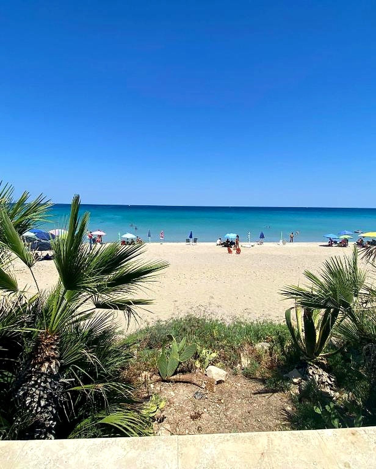 Scena di spiaggia con cielo azzurro, acqua turchese e spiaggia sabbiosa. Palme e persone visibili.