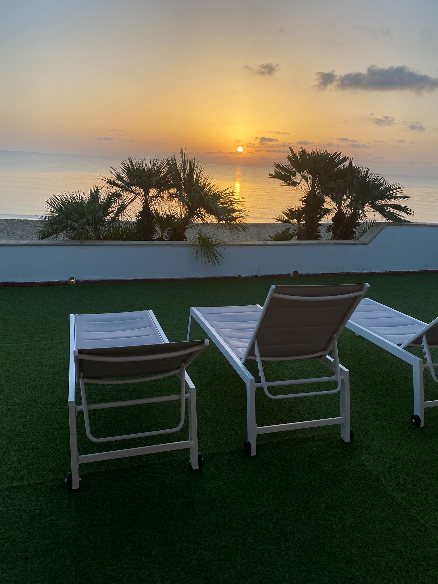 Muri di pietra incorniciano un piccolo giardino con una giovane pianta, che conduce a un cancello arrugginito e al mare azzurro sotto un cielo limpido.