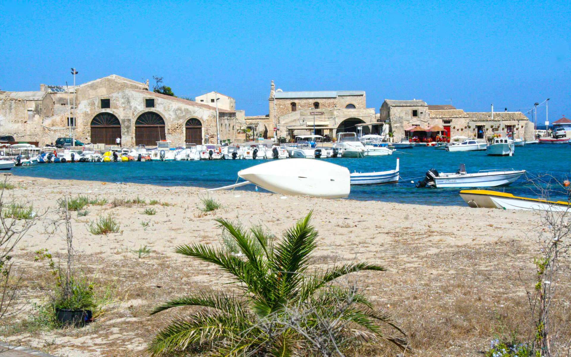 Spiaggia sabbiosa con piccole imbarcazioni, palme ed edifici in pietra in una giornata di sole.