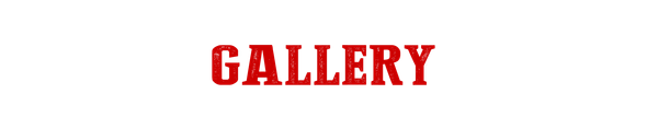 the word gallery is written in red on a white background