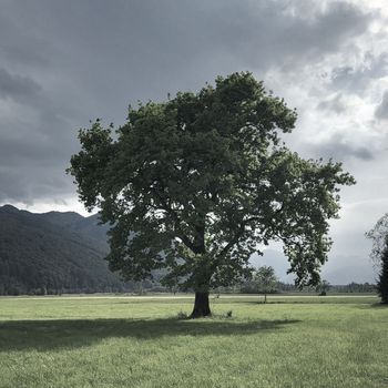 besondere Angebote