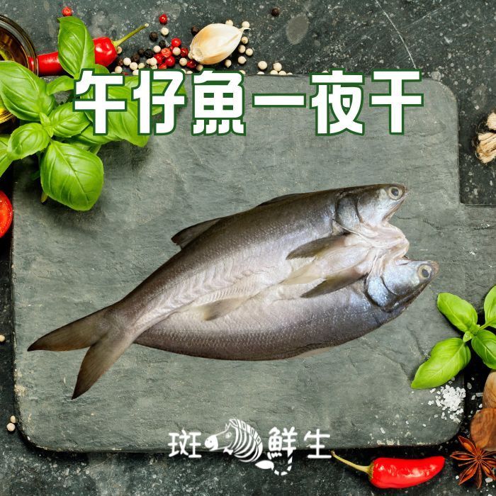 【斑馬鮮生】午仔魚一夜干