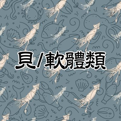 貝類\軟體類