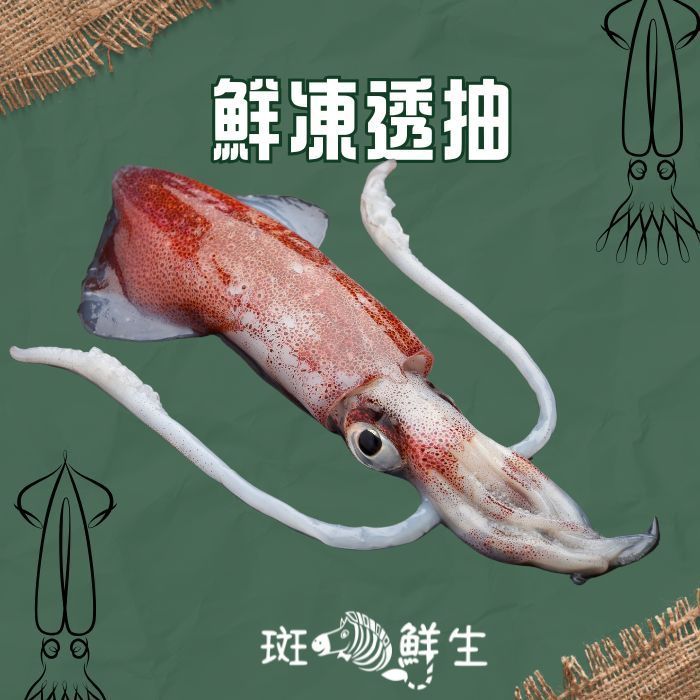 【斑馬鮮生】鮮凍透抽/中卷
