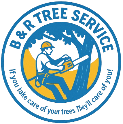 Logo: Arborist using chainsaw, text "B&R Tree Service" and tagline: "If you take care of your trees, They'll care of you!"