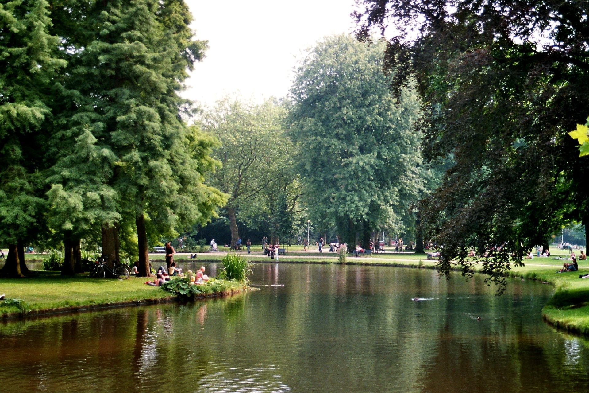 The pond in Vondelpark, Amsterdam