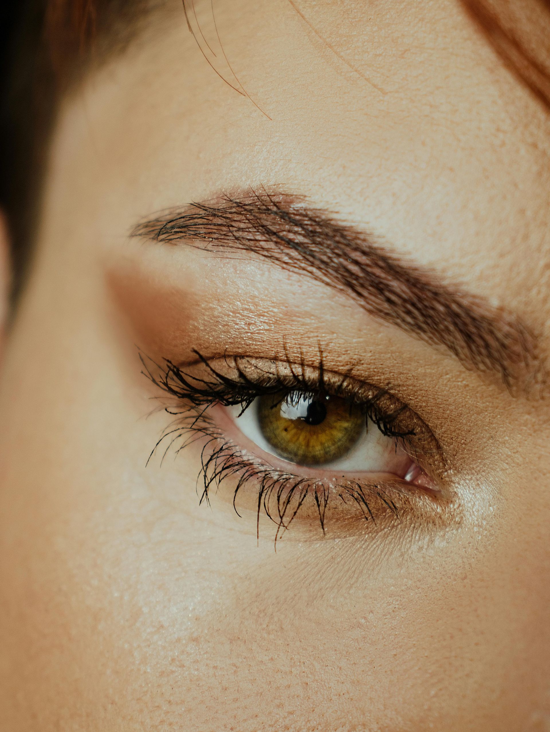Close-up of a hazel eye with brown eyeshadow, thick lashes, and a groomed eyebrow.
