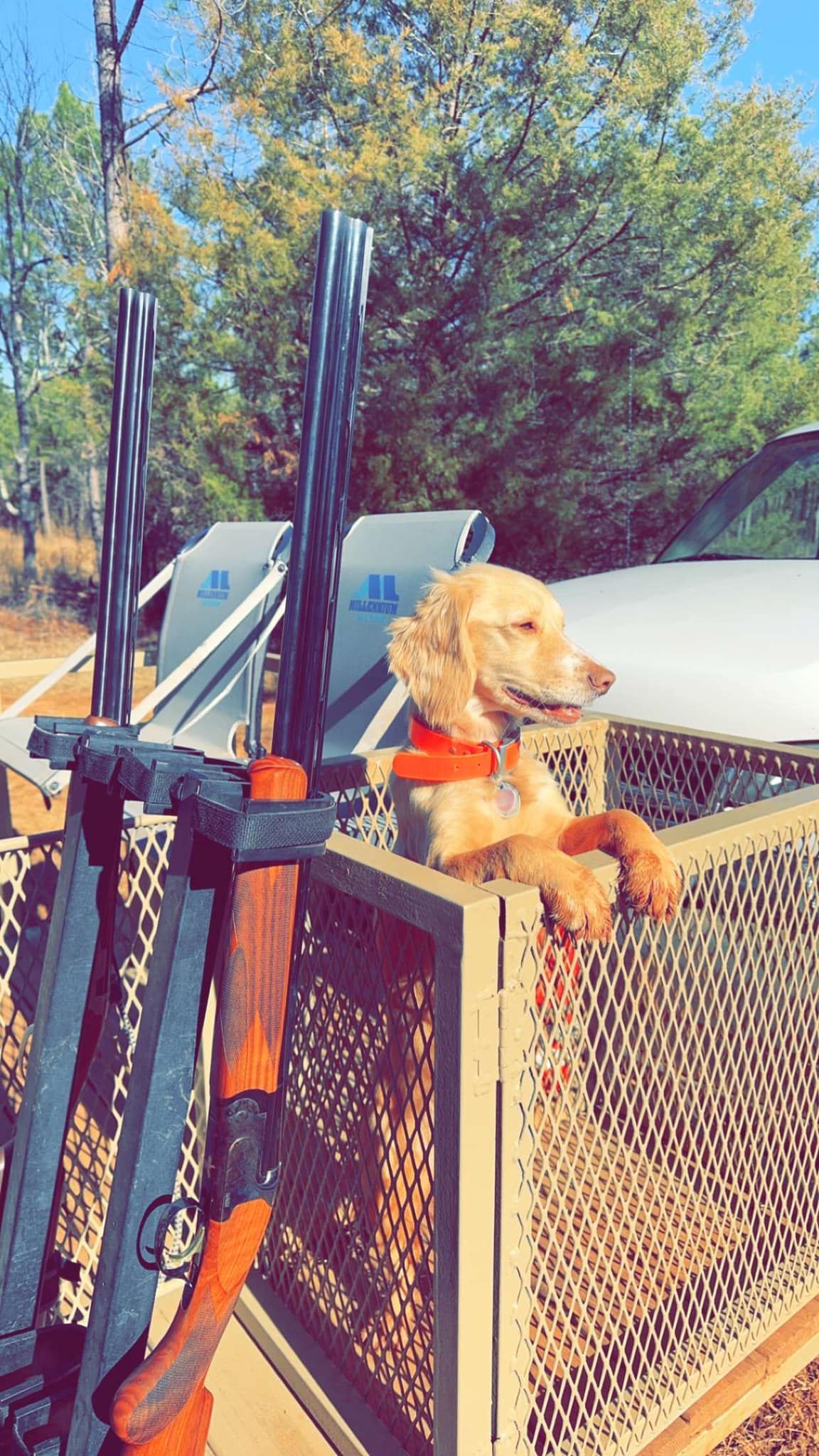 Hunting Lodge gallery