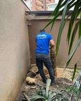 Una persona con una maglietta blu usa una motosega per tagliare il tronco di un albero in un cortile, mentre la segatura vola.