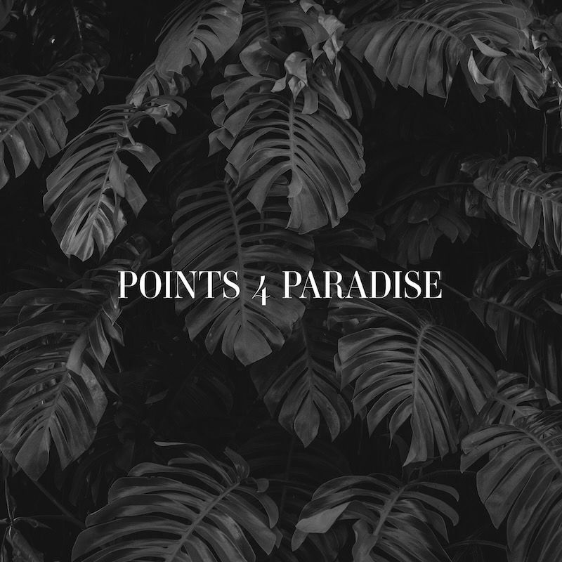 Black and white tropical monstera leaves with the text 