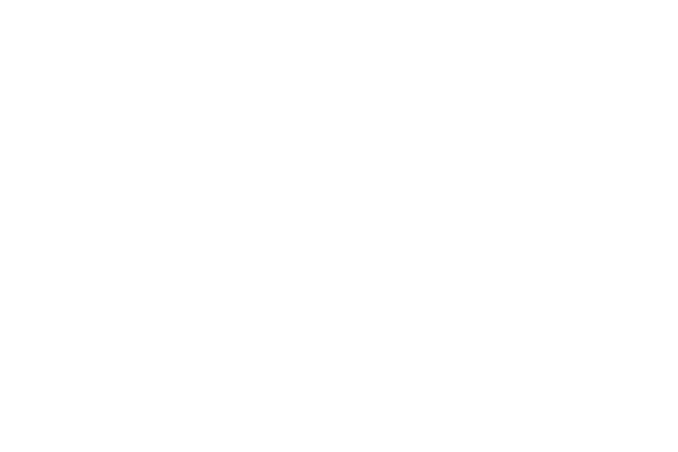 American Express Icon