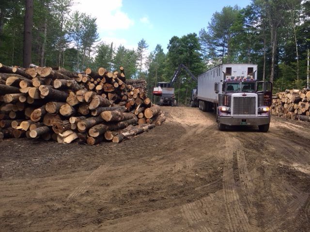 A truck is driving down a dirt road next to a pile of logs