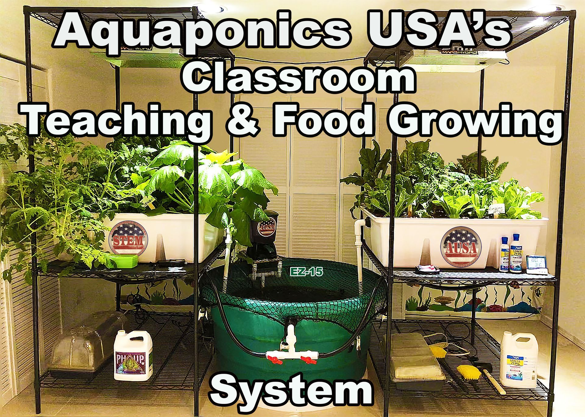 Aquaponics classroom system with plants, water tanks, and equipment; a food growing and teaching system.