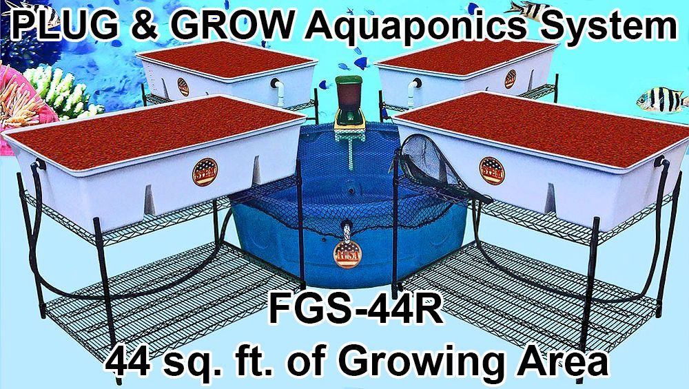Aquaponics system with four grow beds, central fish tank, and wire shelving. Text: