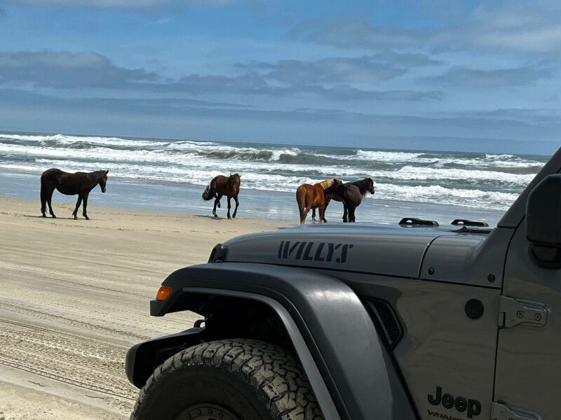 Green Jeep Wrangler on a sandy beach with the ocean in the background.
