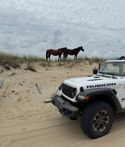 White Jeep Rubicon on sand, two brown horses on a dune under a cloudy sky.