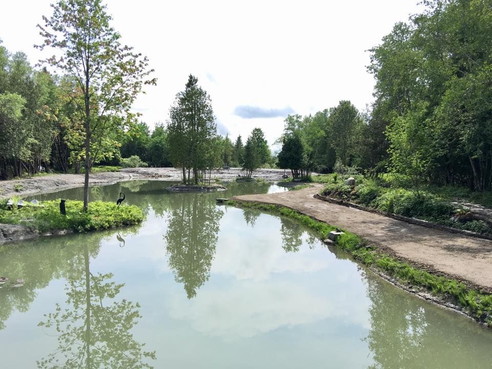 Il y a une petite île au milieu du lac entourée d'arbres.