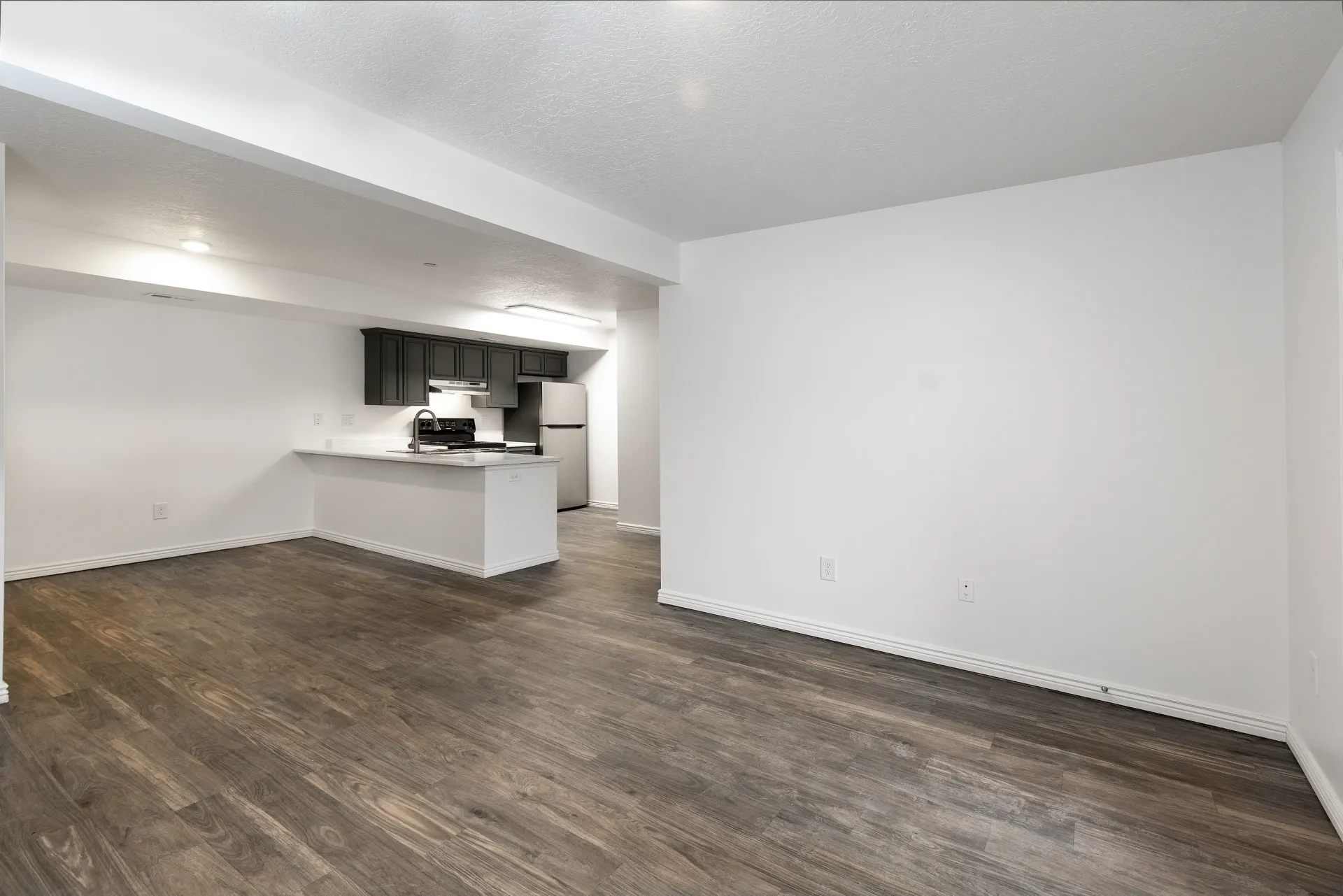 Living area and kitchen in apartment