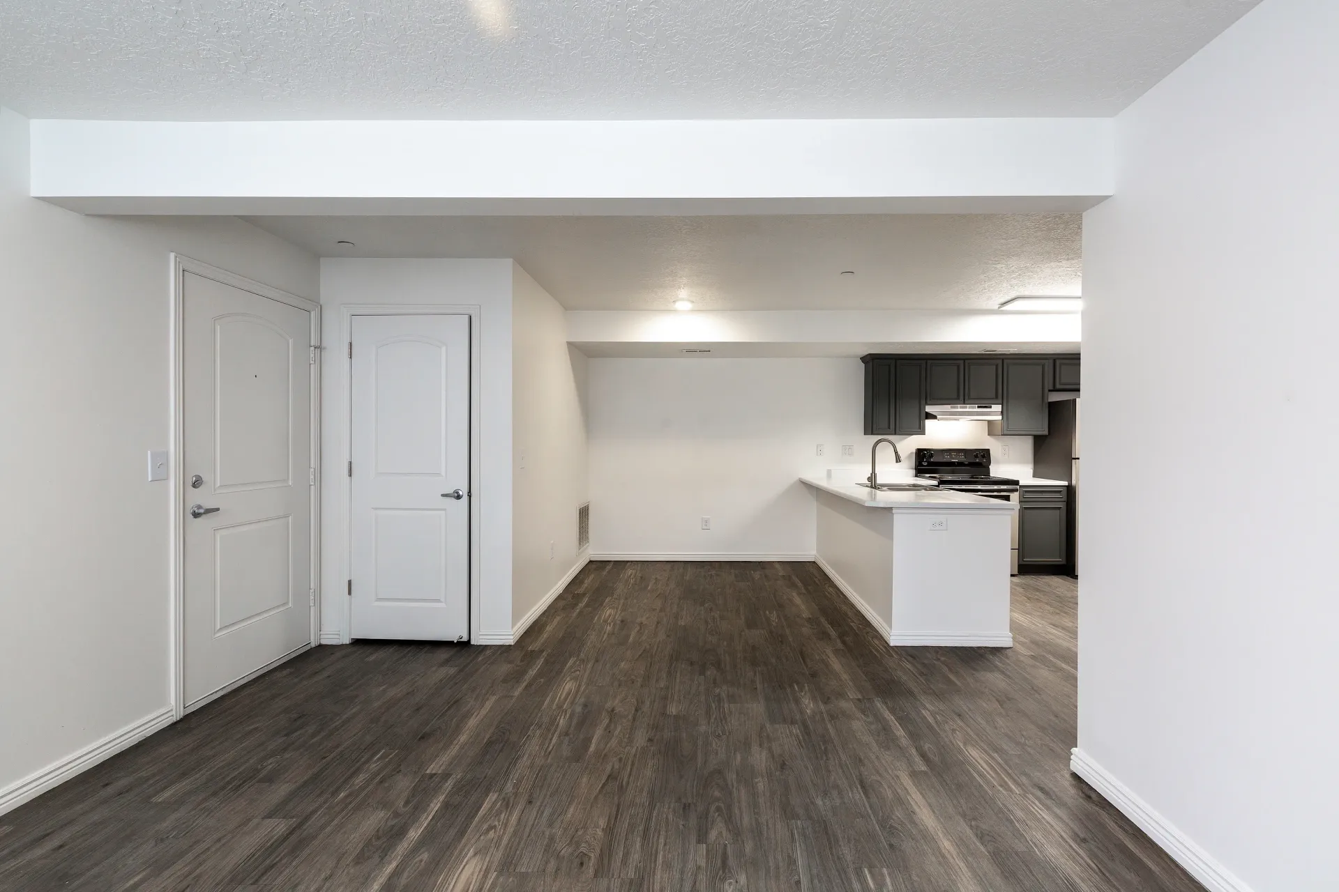 Interior view of a vacant apartment showing an entryway, living area, and kitchen.
